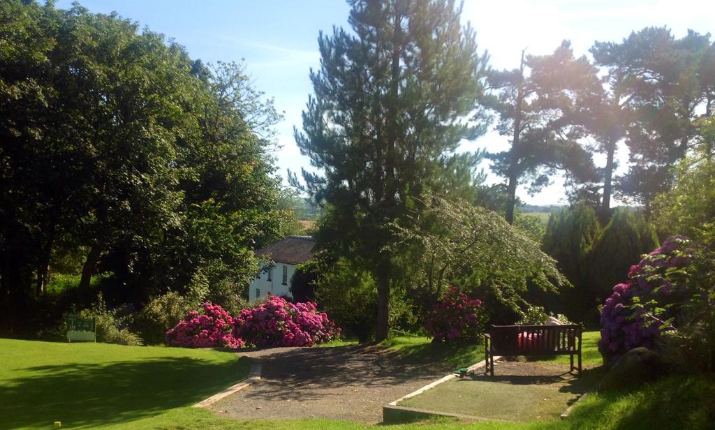 Priskilly Forest Country House Fishguard Habitación foto