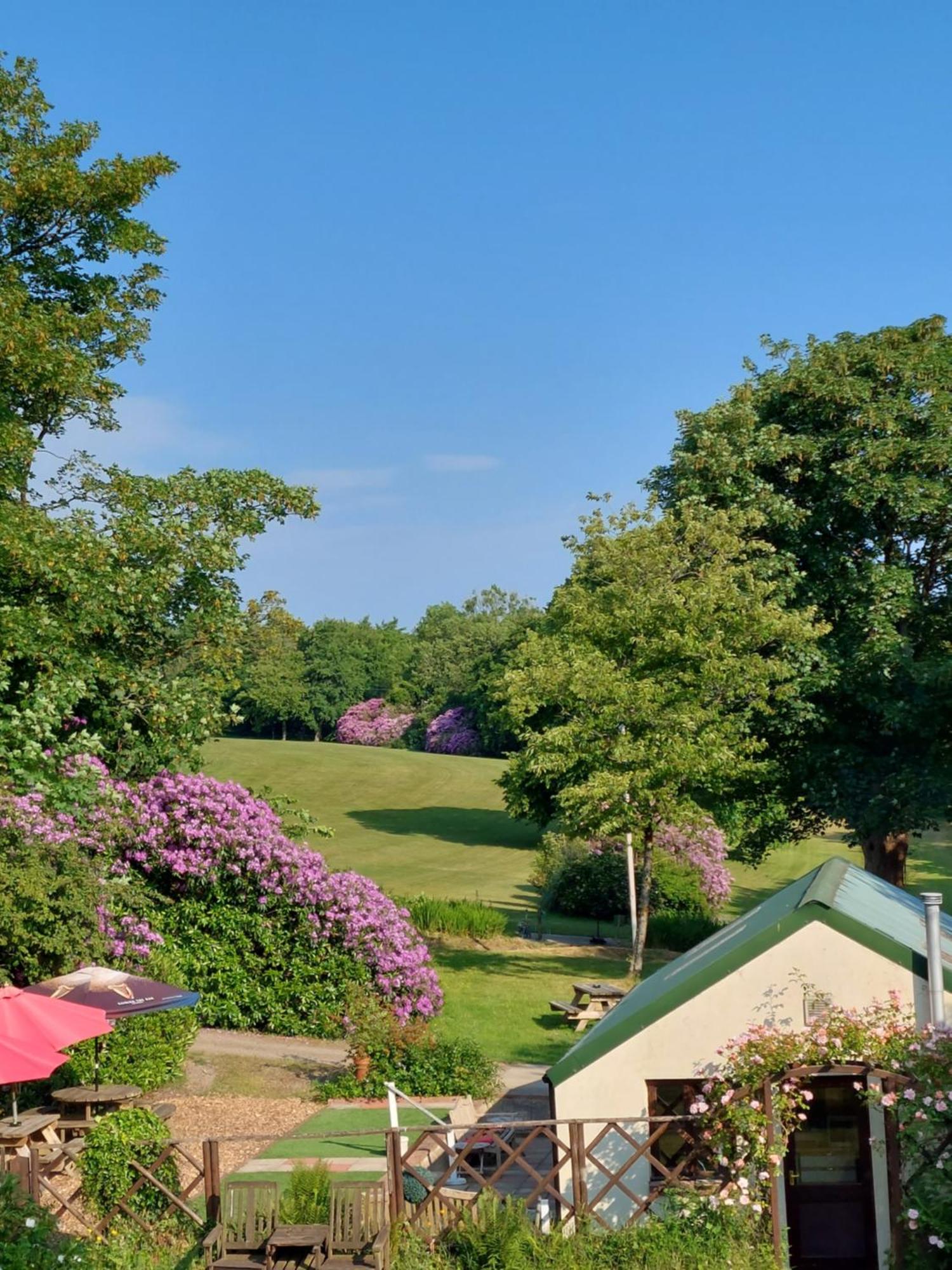 Priskilly Forest Country House Fishguard Exterior foto